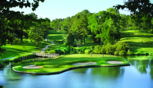 Golden Horseshoe Gold Course