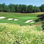 Stonehouse Golf Club in Williamsburg VA